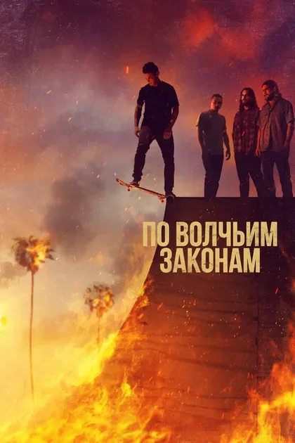Молли Гордон